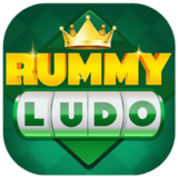 Download Rummy Ludo App - Best Mobile Gaming Experience